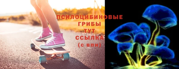 тгк Аркадак