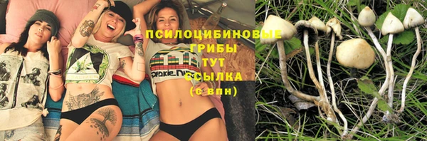 амф Арсеньев
