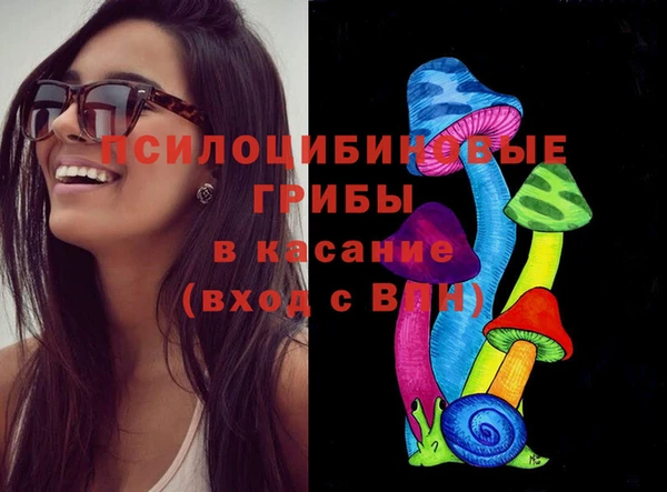 тгк Аркадак